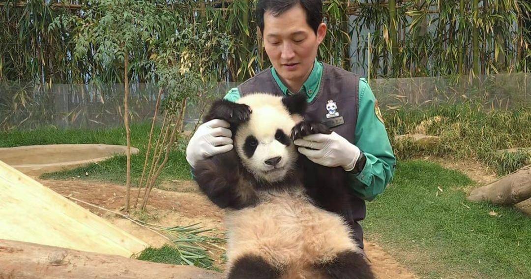 Instagram.com/fubao_012486